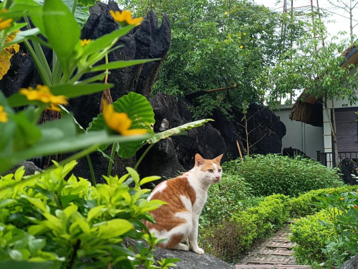 Ha Giang Wings Bungalow Bagian luar foto